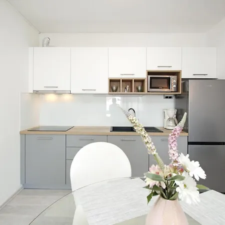 Apartment Dzepina
